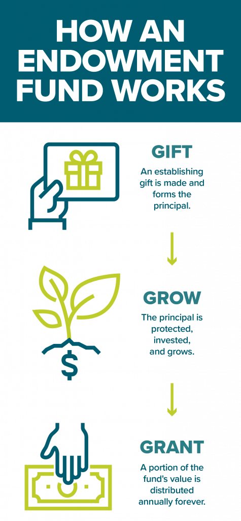 Infographic titled How an Endowment Fund Works with three steps: Gift (a present icon), Grow (a plant sprouting with a dollar sign), and Grant (a hand over money), showing how you can start a scholarship fund, with arrows connecting each step.