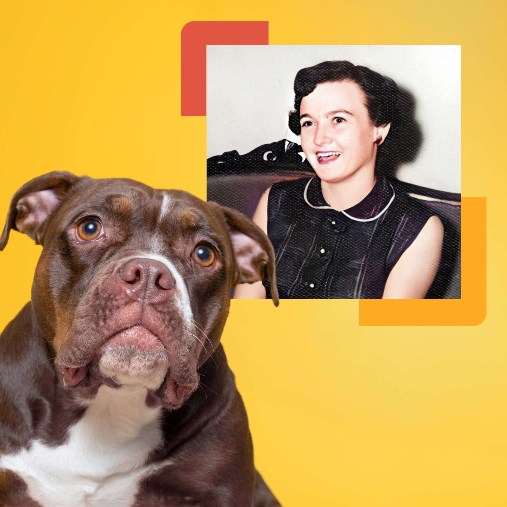 A brown and white bulldog sits in front of a yellow background. Behind the dog, a framed photo of a smiling woman with short dark hair celebrates responsible pet ownership and the special bond we share with our pets.